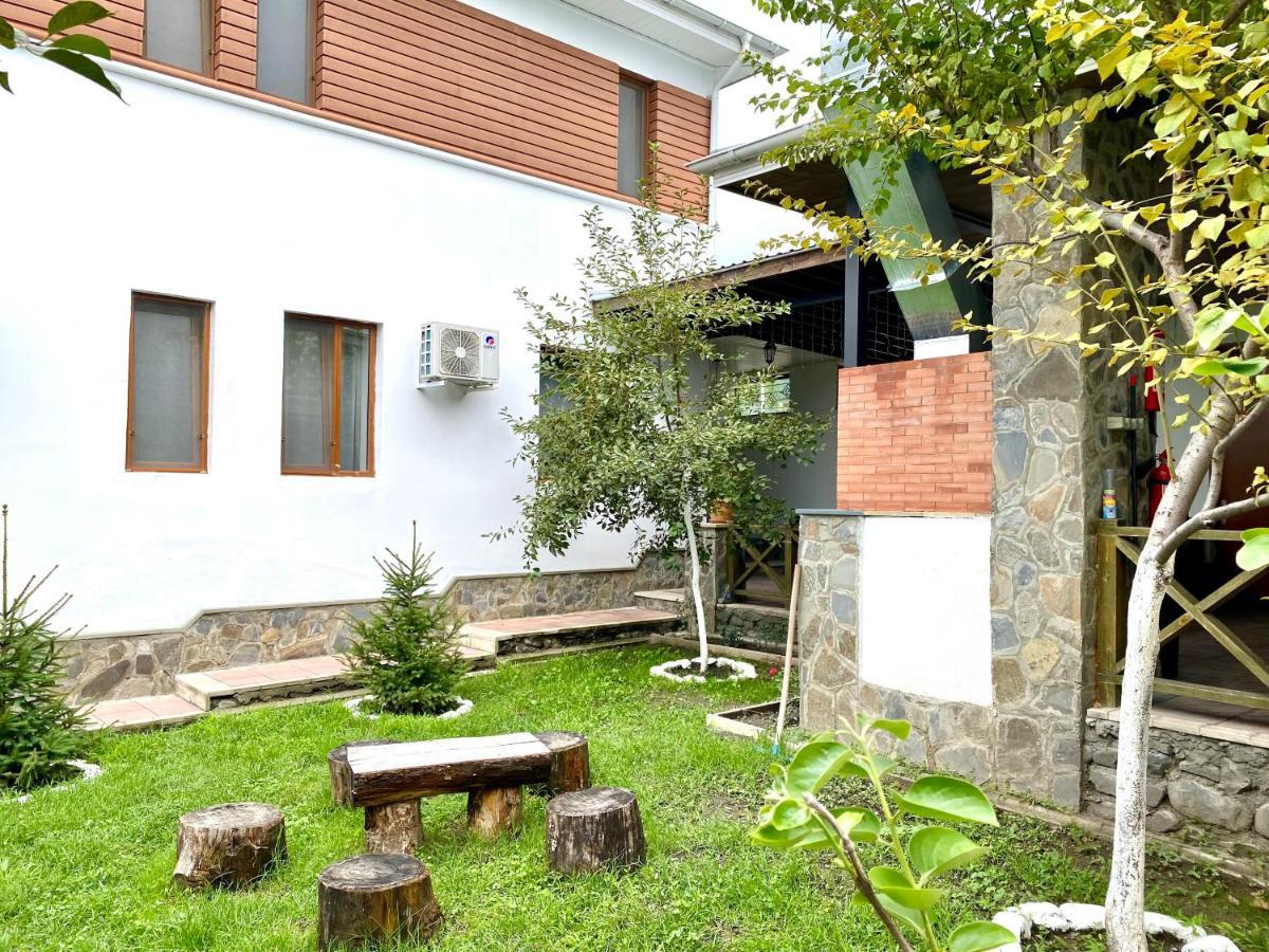 Gabala Sweet Lounge Villa Eksteriør billede